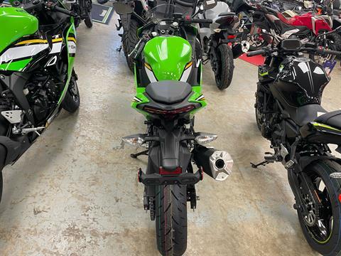 2025 Kawasaki Ninja 500 KRT Edition in Northampton, Massachusetts - Photo 4