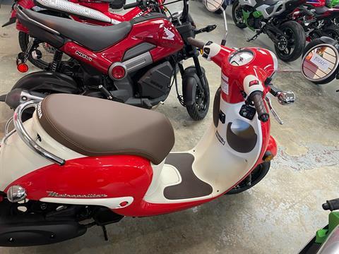 2025 Honda Metropolitan in Northampton, Massachusetts - Photo 5