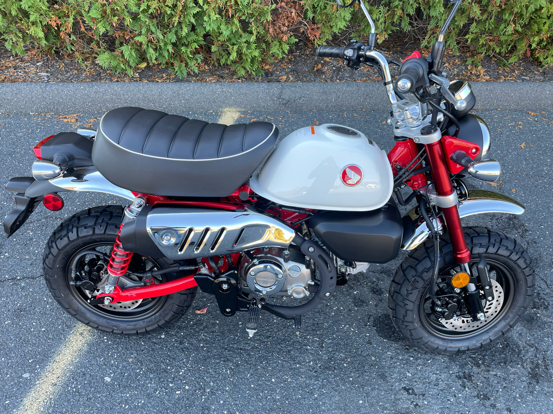 2025 Honda Monkey ABS in Northampton, Massachusetts - Photo 2