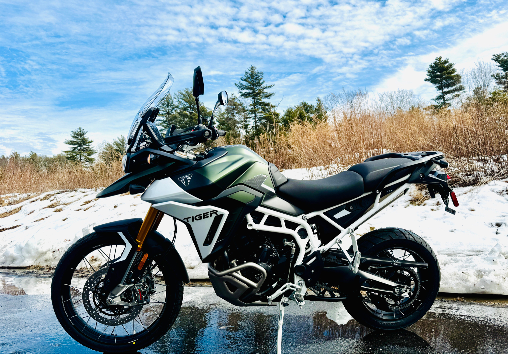 2025 Triumph Tiger 900 Rally Pro in Foxboro, Massachusetts - Photo 3