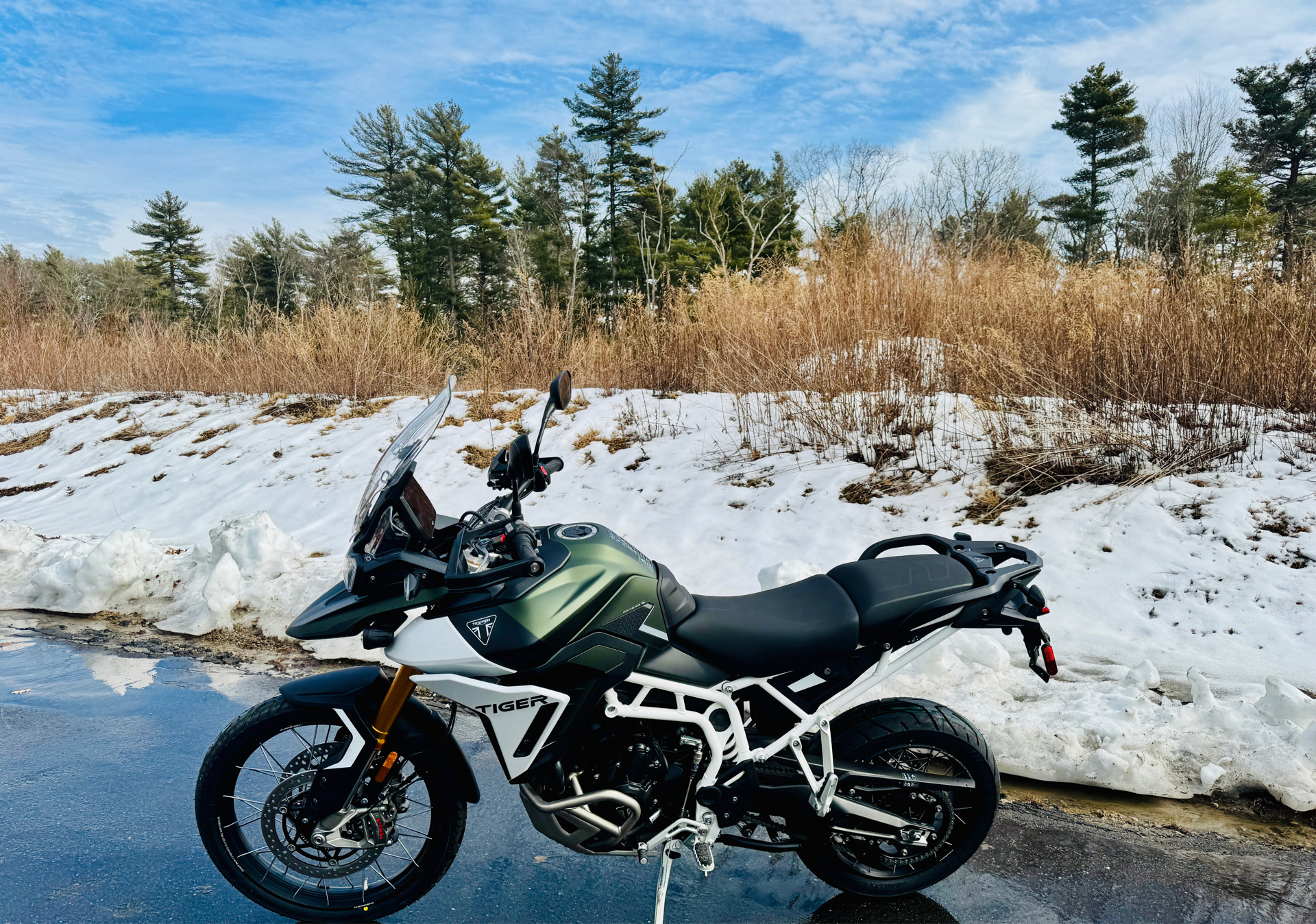 2025 Triumph Tiger 900 Rally Pro in Foxboro, Massachusetts - Photo 13