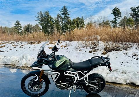 2025 Triumph Tiger 900 Rally Pro in Foxboro, Massachusetts - Photo 13