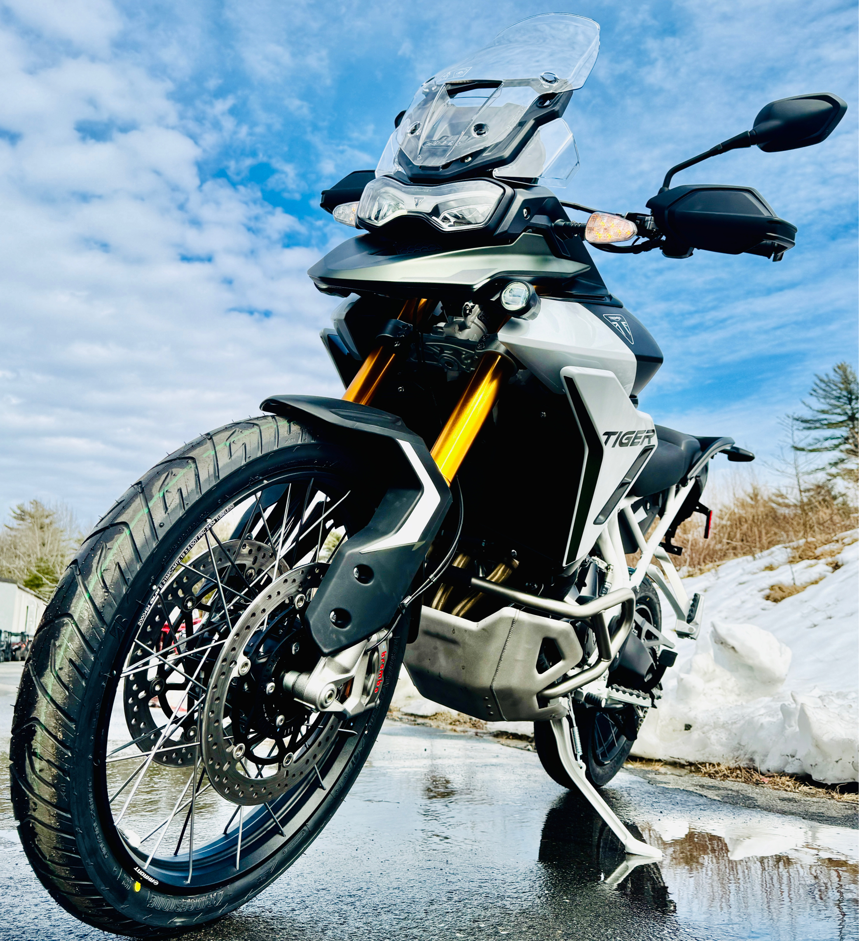 2025 Triumph Tiger 900 Rally Pro in Foxboro, Massachusetts - Photo 16