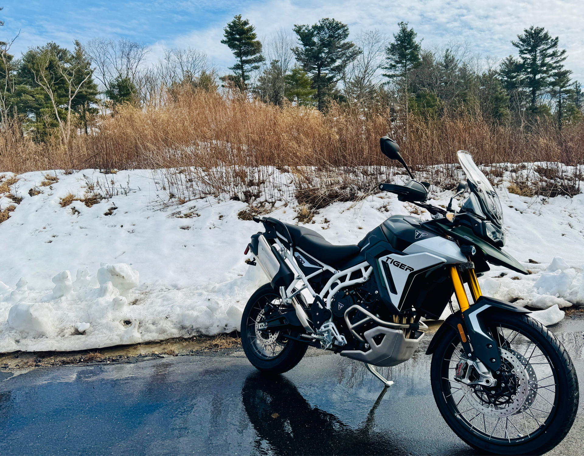 2025 Triumph Tiger 900 Rally Pro in Foxboro, Massachusetts - Photo 21