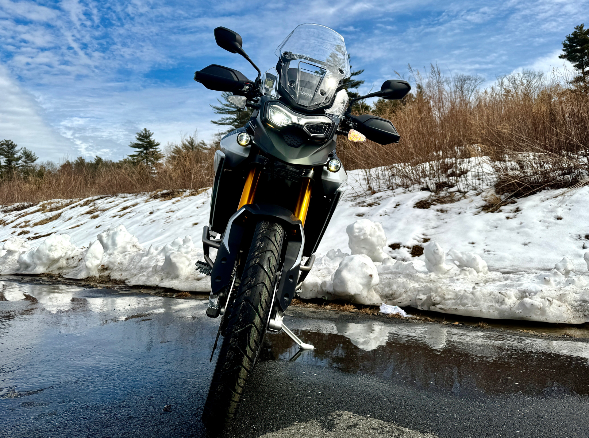 2025 Triumph Tiger 900 Rally Pro in Foxboro, Massachusetts - Photo 9