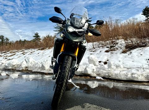 2025 Triumph Tiger 900 Rally Pro in Foxboro, Massachusetts - Photo 9