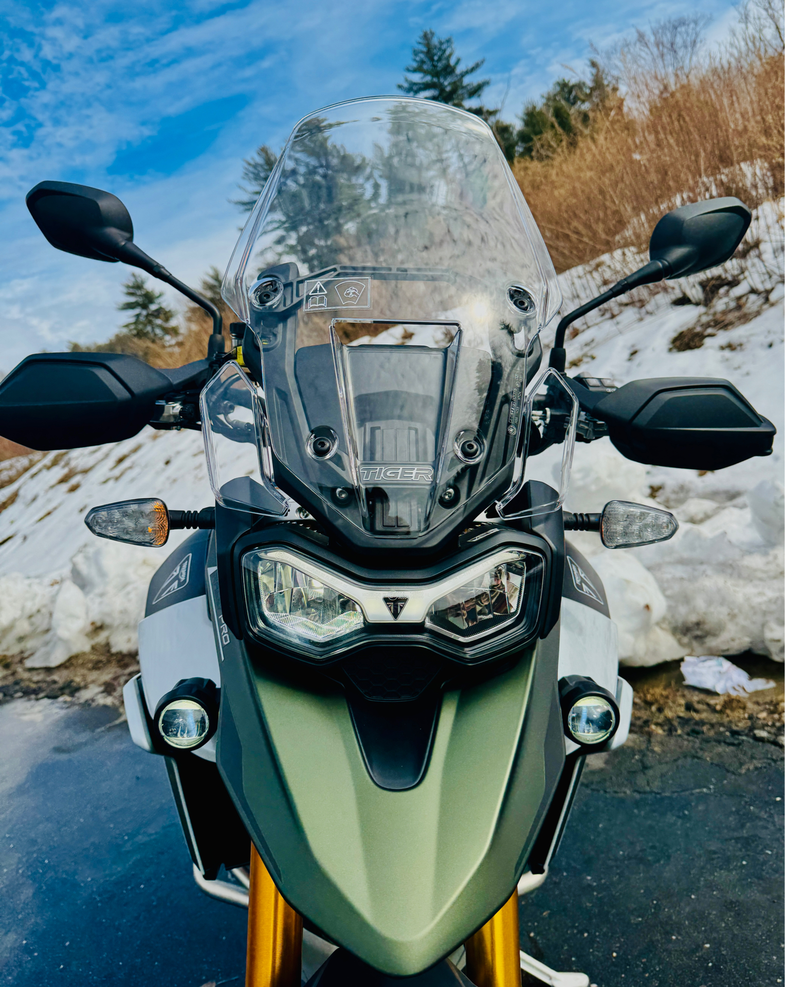2025 Triumph Tiger 900 Rally Pro in Foxboro, Massachusetts - Photo 4