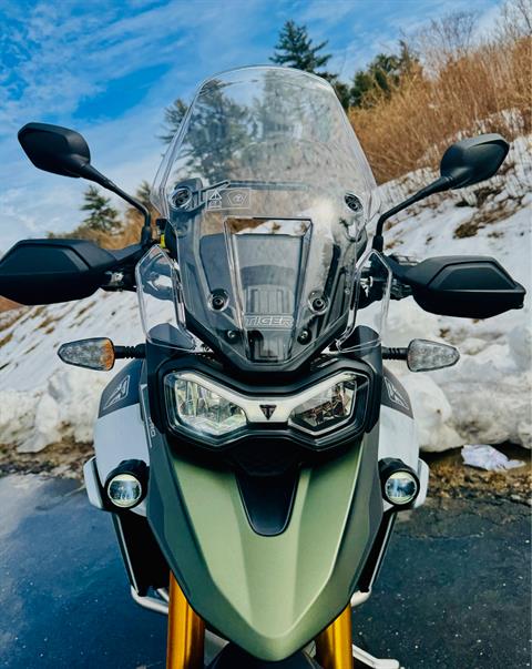 2025 Triumph Tiger 900 Rally Pro in Foxboro, Massachusetts - Photo 4