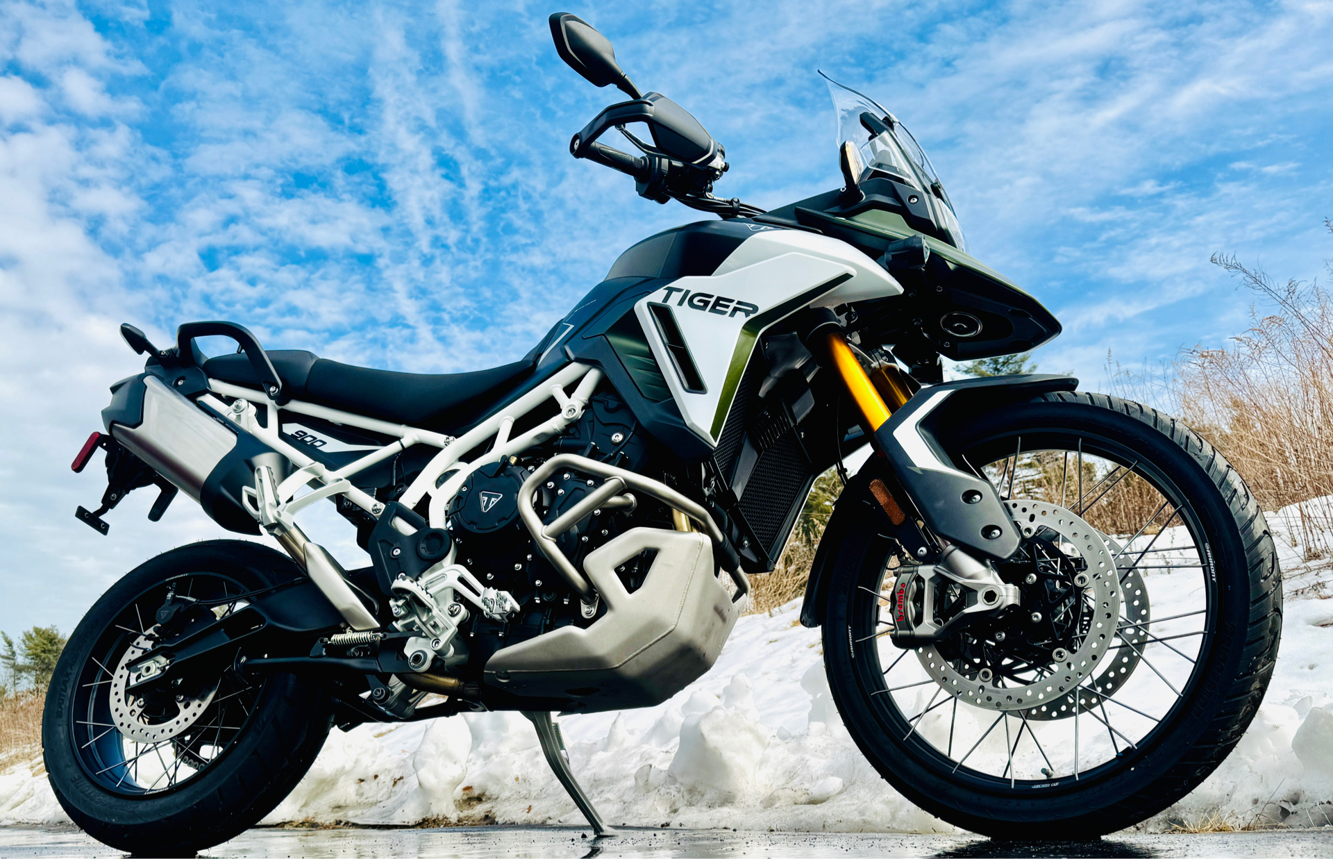 2025 Triumph Tiger 900 Rally Pro in Foxboro, Massachusetts - Photo 17