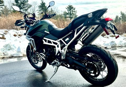2025 Triumph Tiger 900 Rally Pro in Foxboro, Massachusetts - Photo 5
