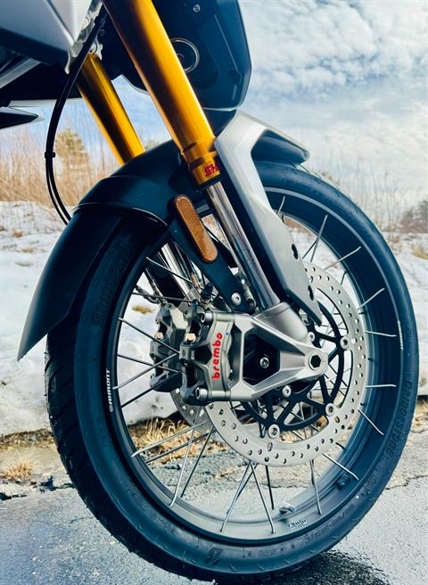 2025 Triumph Tiger 900 Rally Pro in Foxboro, Massachusetts - Photo 8
