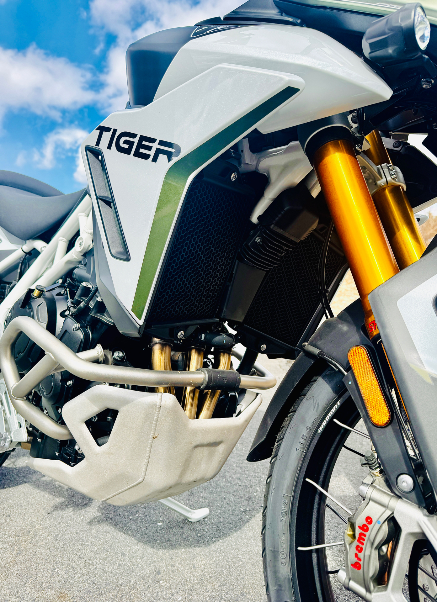 2025 Triumph Tiger 900 Rally Pro in Foxboro, Massachusetts - Photo 13