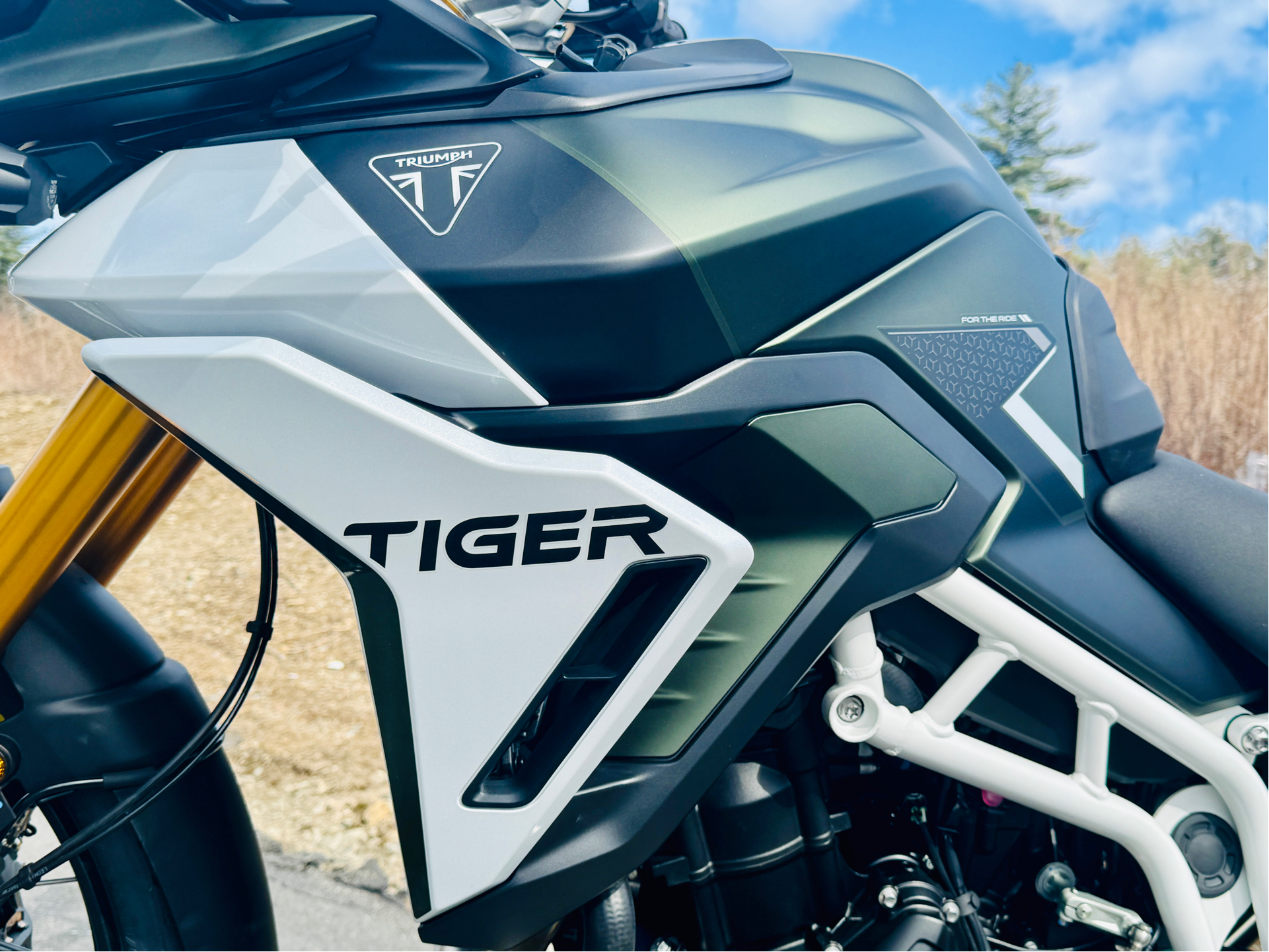 2025 Triumph Tiger 900 Rally Pro in Foxboro, Massachusetts - Photo 19