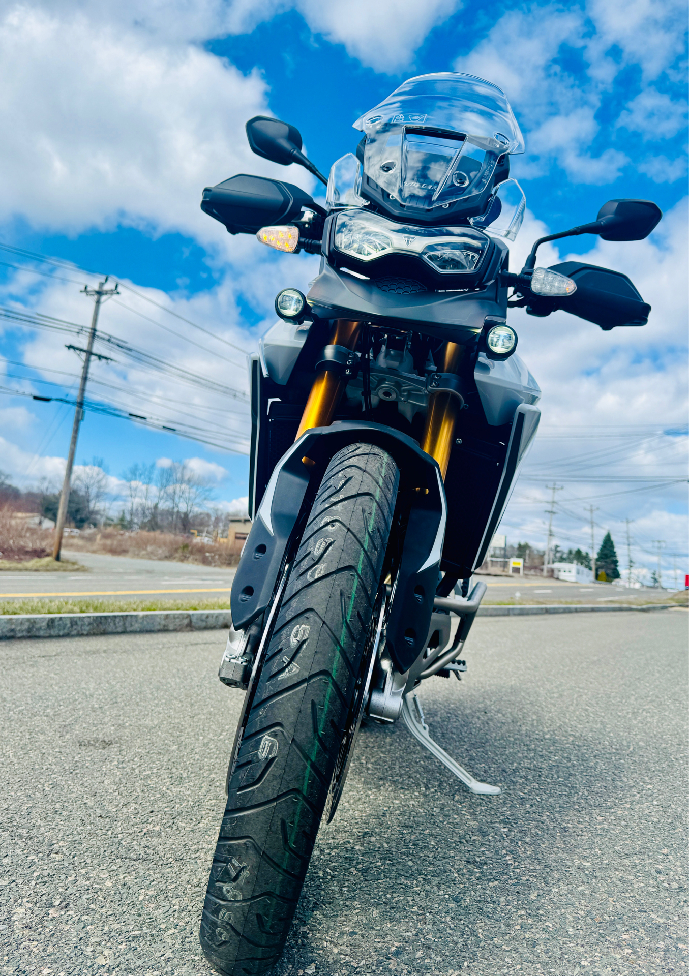 2025 Triumph Tiger 900 Rally Pro in Foxboro, Massachusetts - Photo 14