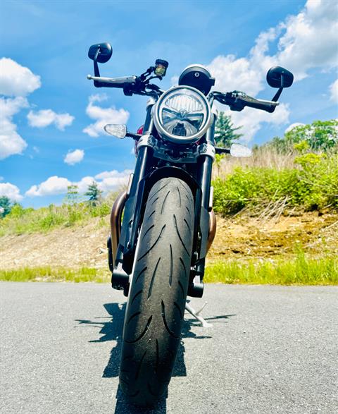 2025 Triumph Speed Twin 1200 in Foxboro, Massachusetts - Photo 7