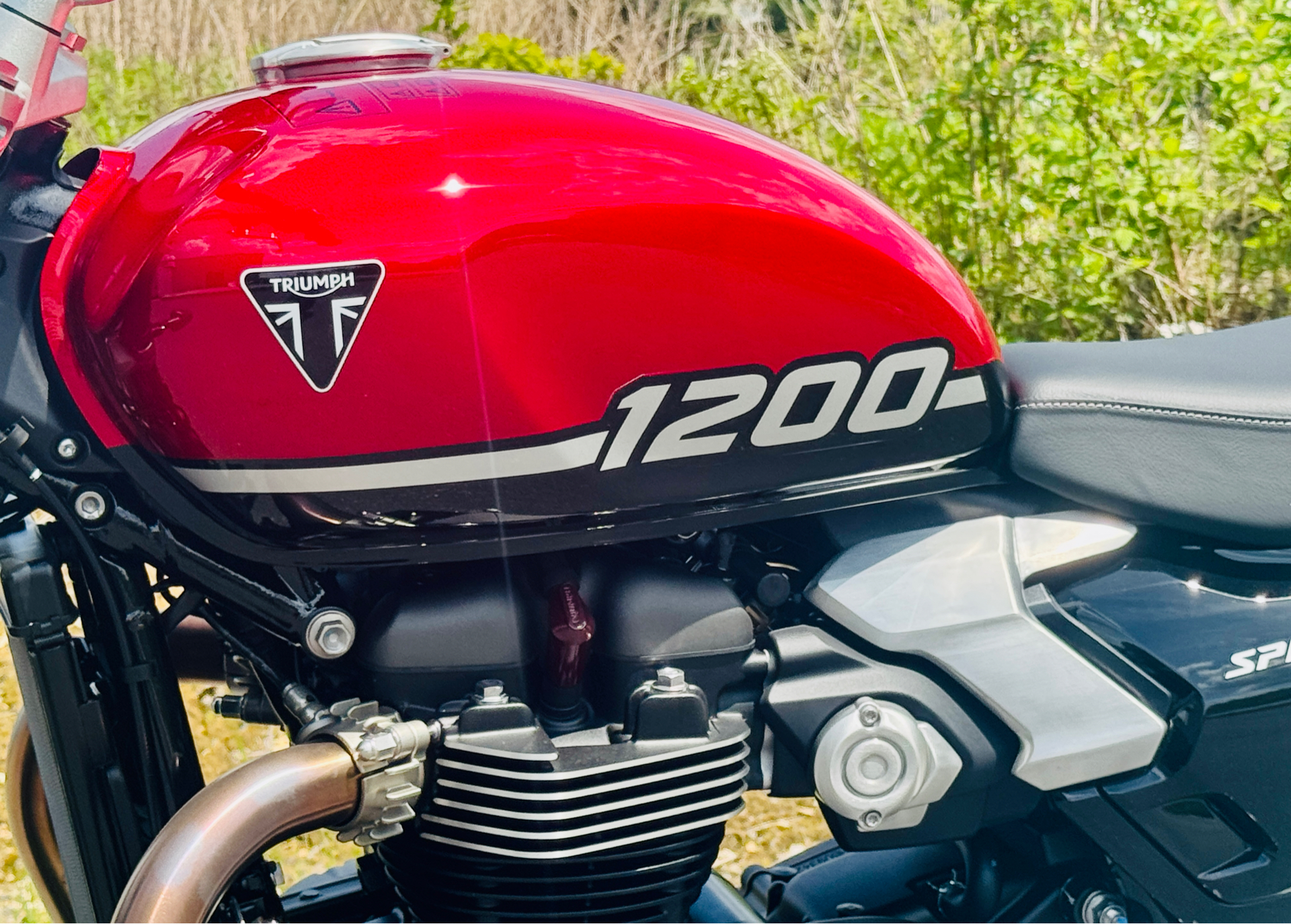 2025 Triumph Speed Twin 1200 in Foxboro, Massachusetts - Photo 10