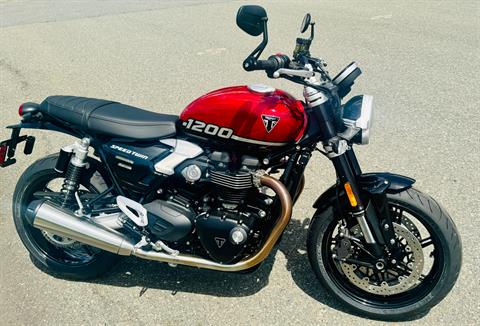 2025 Triumph Speed Twin 1200 in Foxboro, Massachusetts - Photo 9