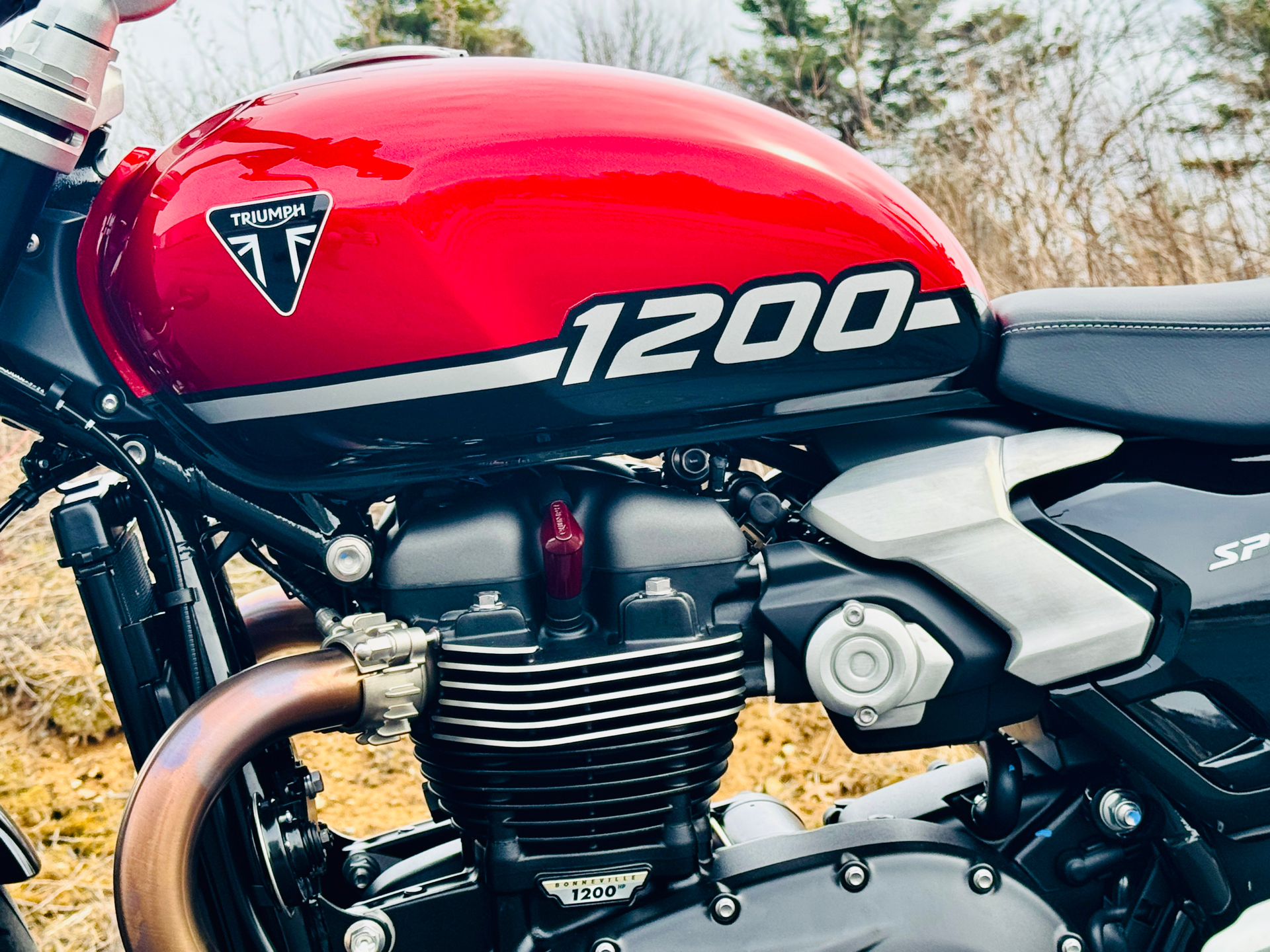 2025 Triumph Speed Twin 1200 in Foxboro, Massachusetts - Photo 6