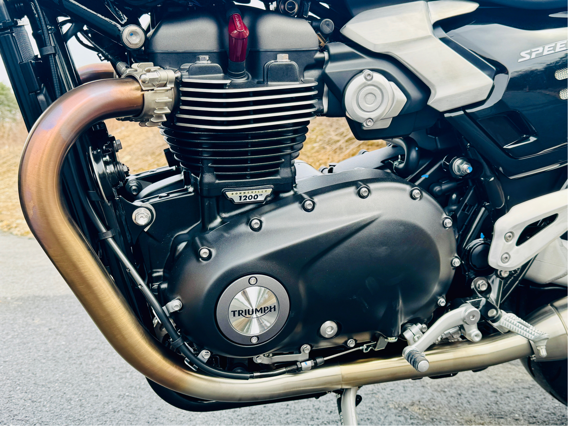 2025 Triumph Speed Twin 1200 in Foxboro, Massachusetts - Photo 24