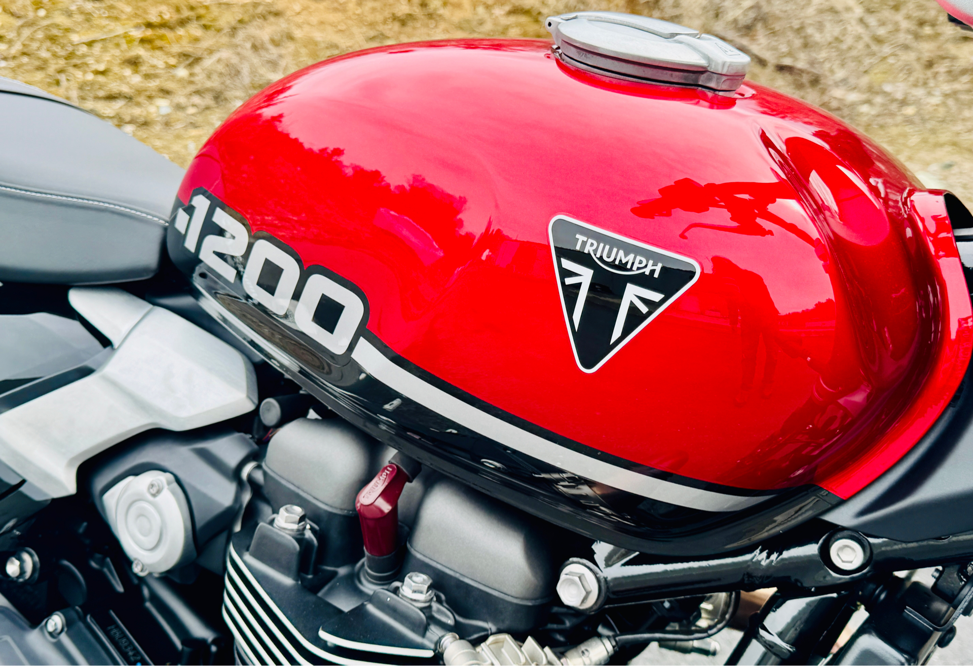 2025 Triumph Speed Twin 1200 in Foxboro, Massachusetts - Photo 14