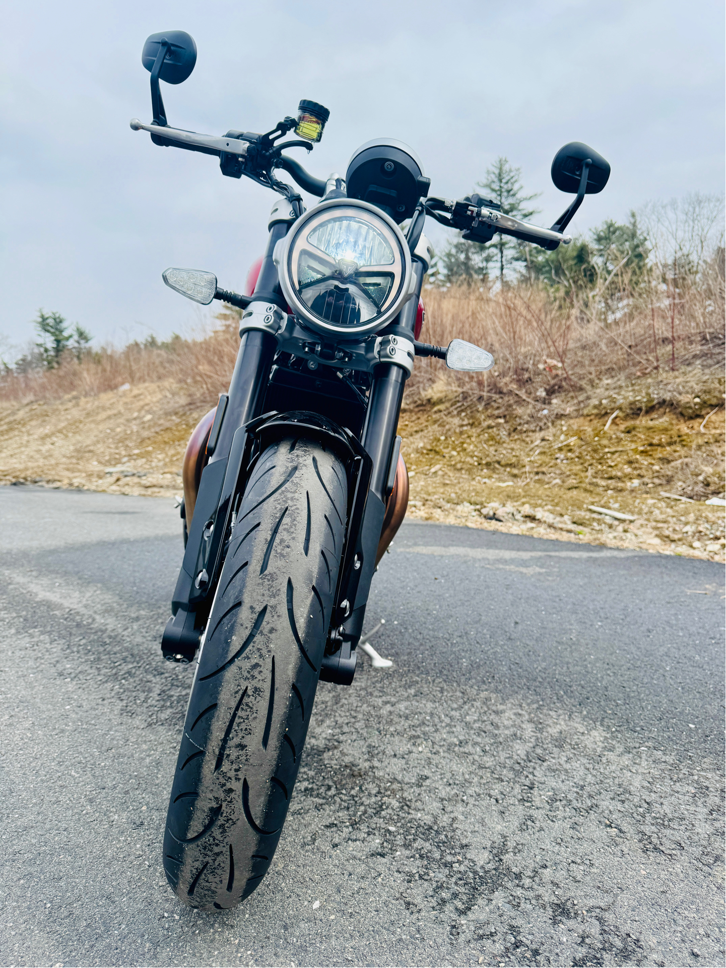 2025 Triumph Speed Twin 1200 in Foxboro, Massachusetts - Photo 7