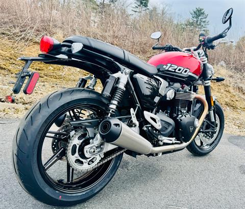 2025 Triumph Speed Twin 1200 in Foxboro, Massachusetts - Photo 11