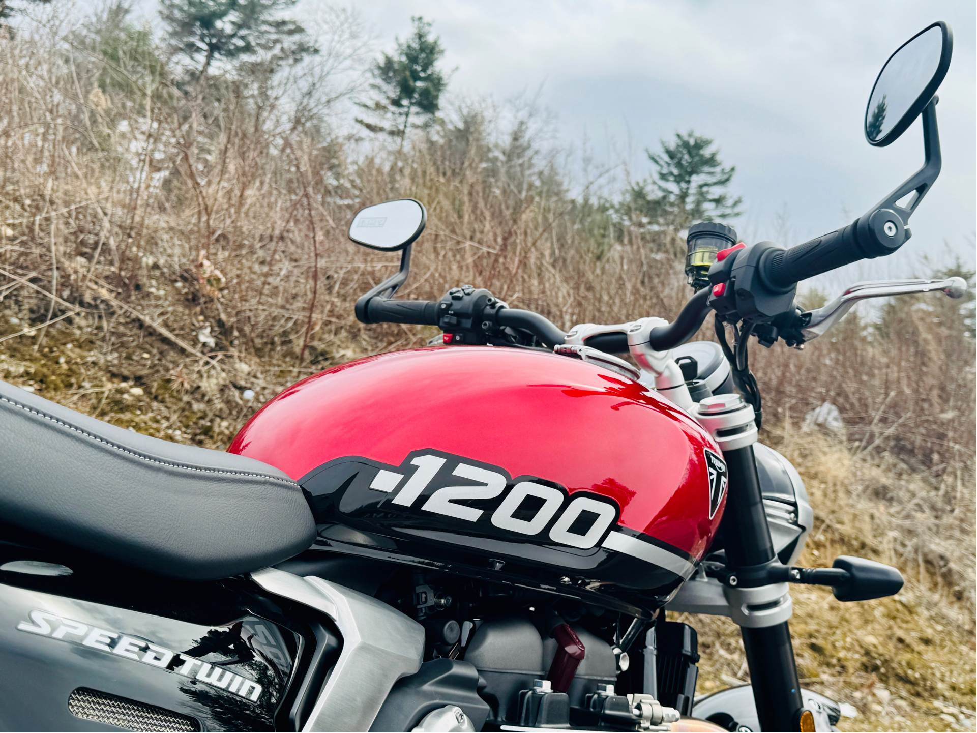 2025 Triumph Speed Twin 1200 in Foxboro, Massachusetts - Photo 19