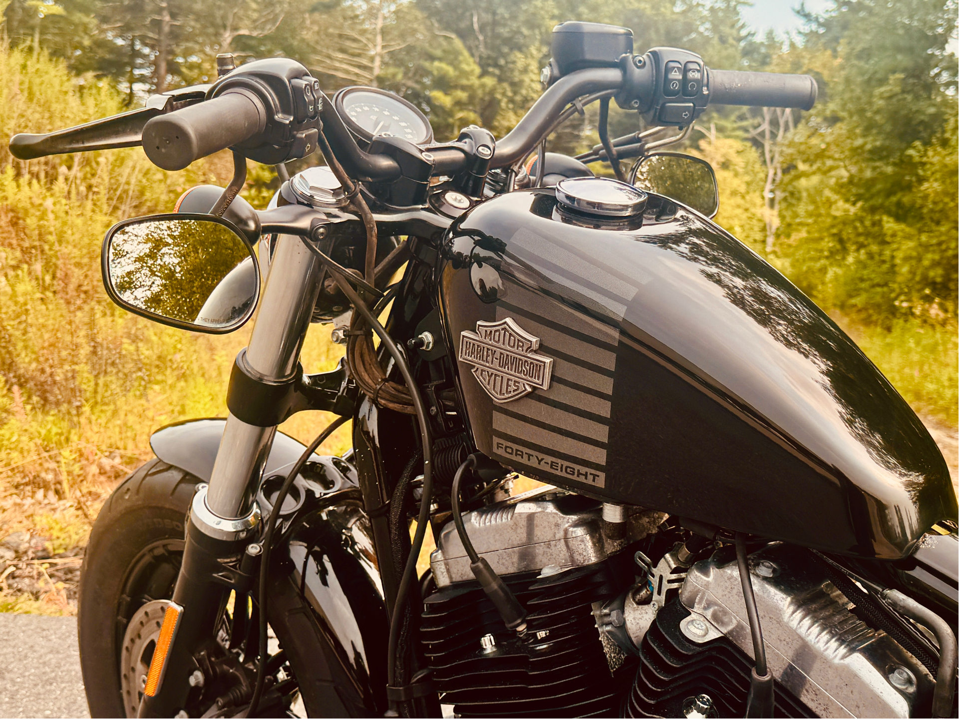 2016 Harley-Davidson Forty-Eight® in Foxboro, Massachusetts - Photo 6