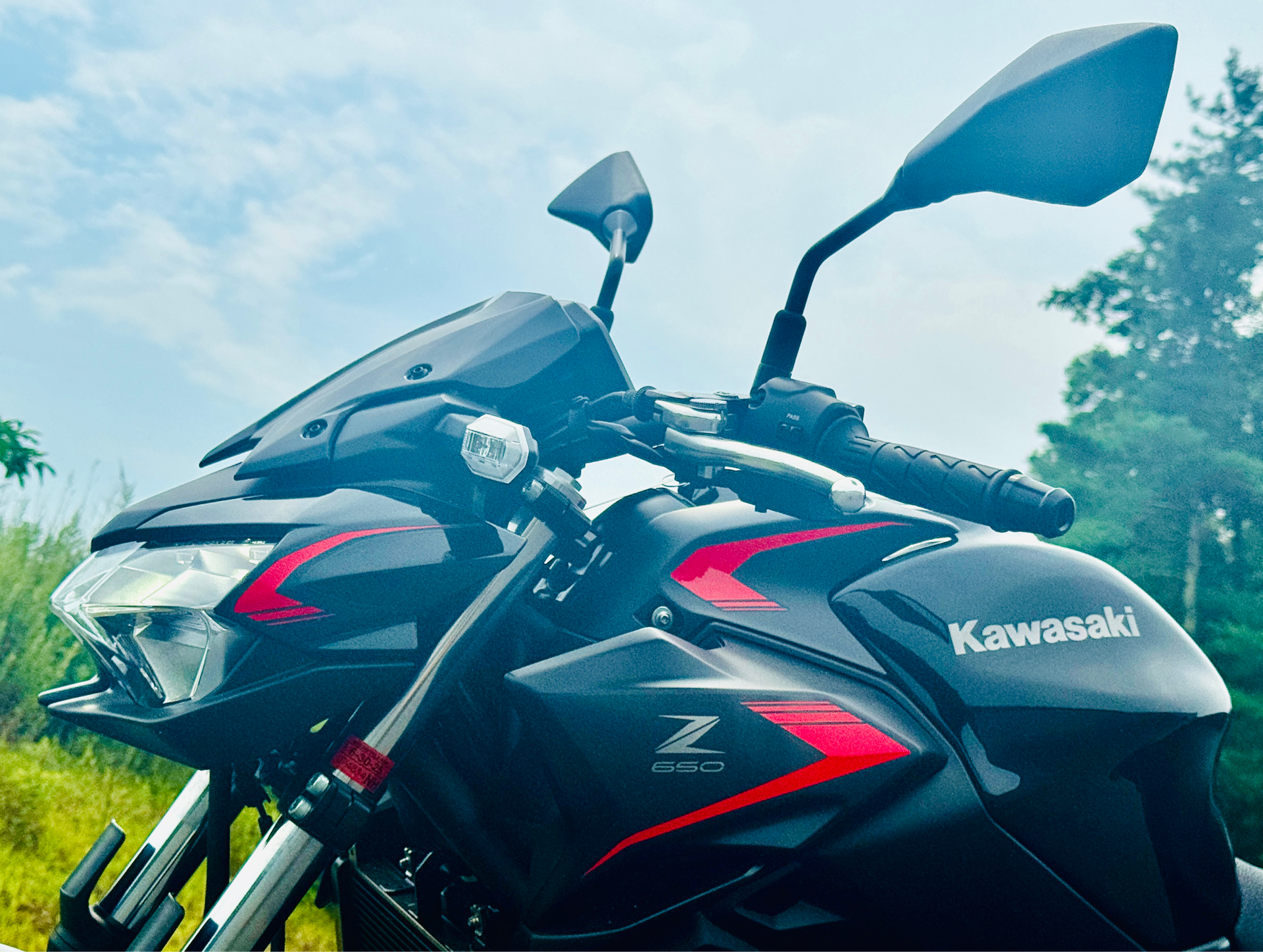 2023 Kawasaki Z650 in Foxboro, Massachusetts - Photo 12