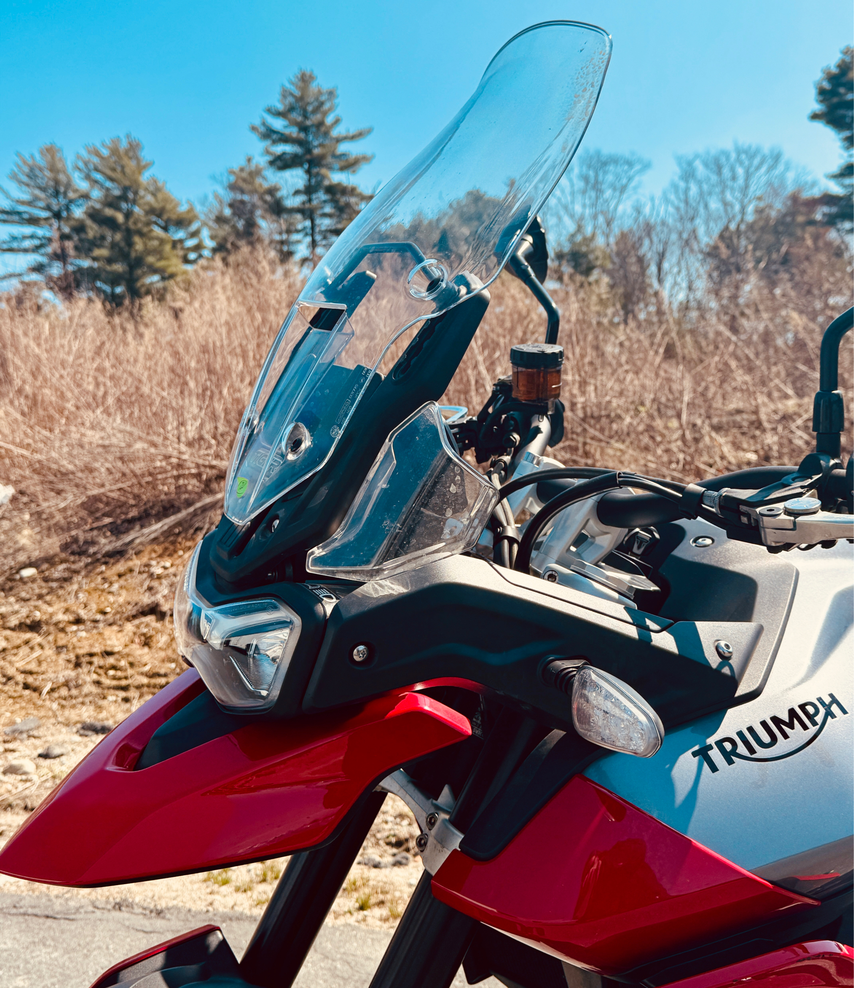 2021 Triumph Tiger 850 Sport in Foxboro, Massachusetts - Photo 8