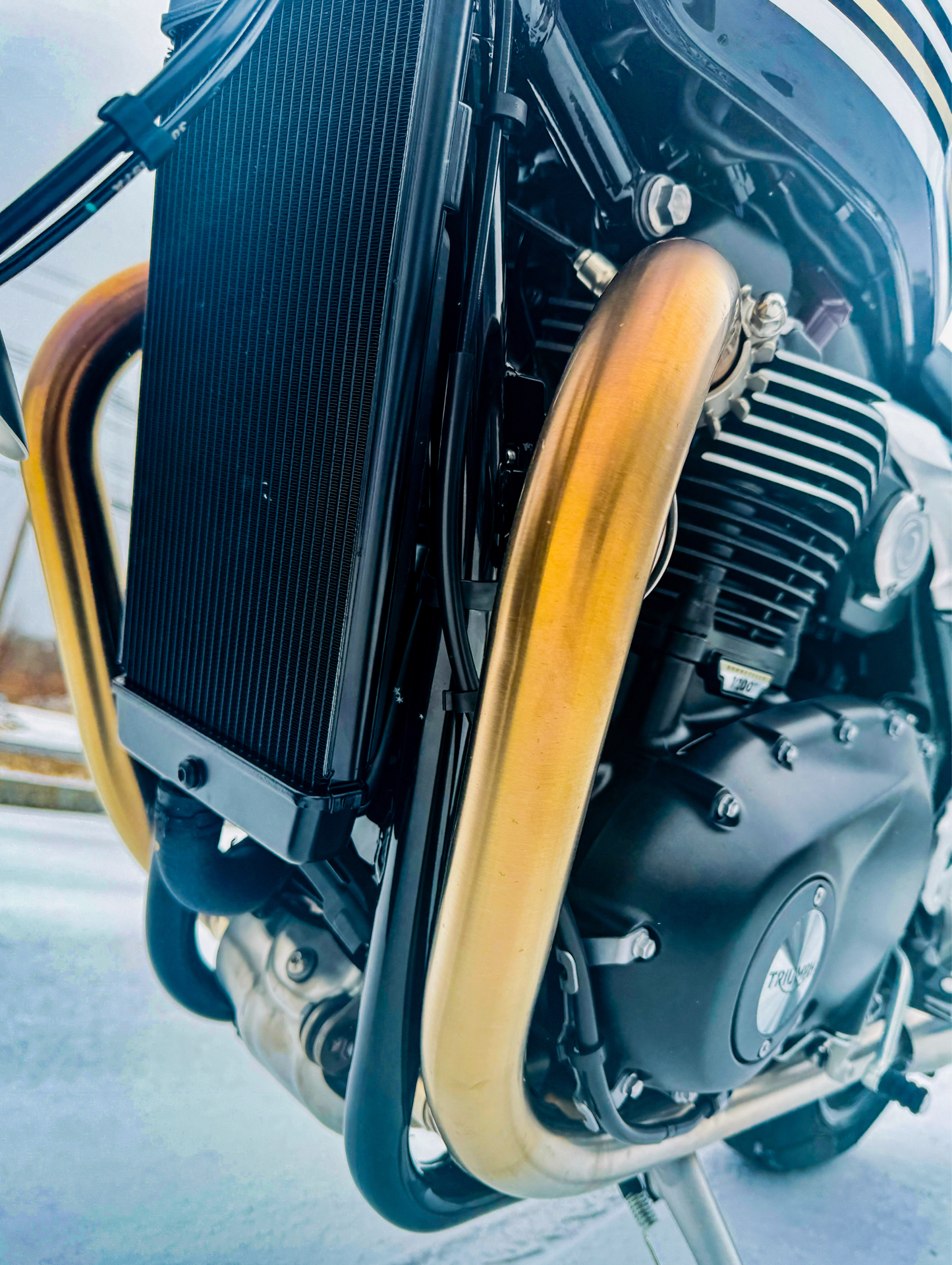 2025 Triumph Speed Twin 1200 RS in Foxboro, Massachusetts - Photo 41