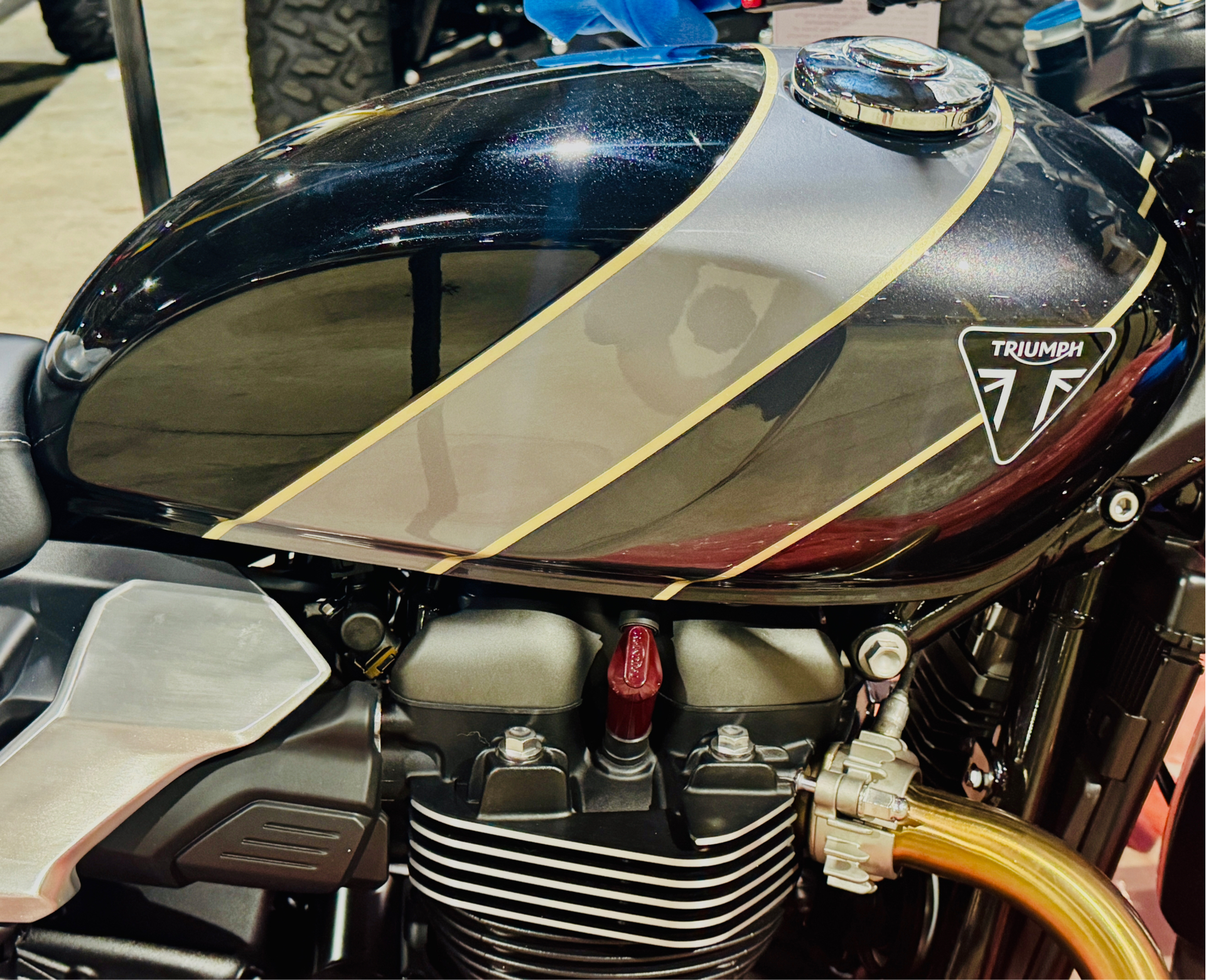 2025 Triumph Speed Twin 900 in Foxboro, Massachusetts - Photo 2