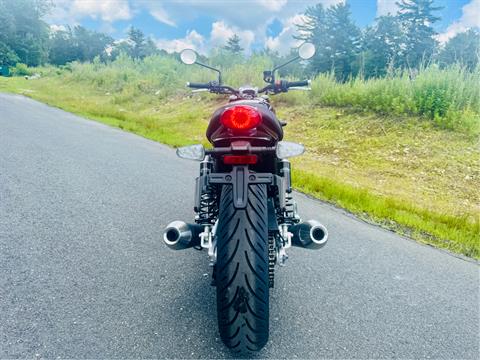 2025 Triumph Speed Twin 900 in Foxboro, Massachusetts - Photo 13