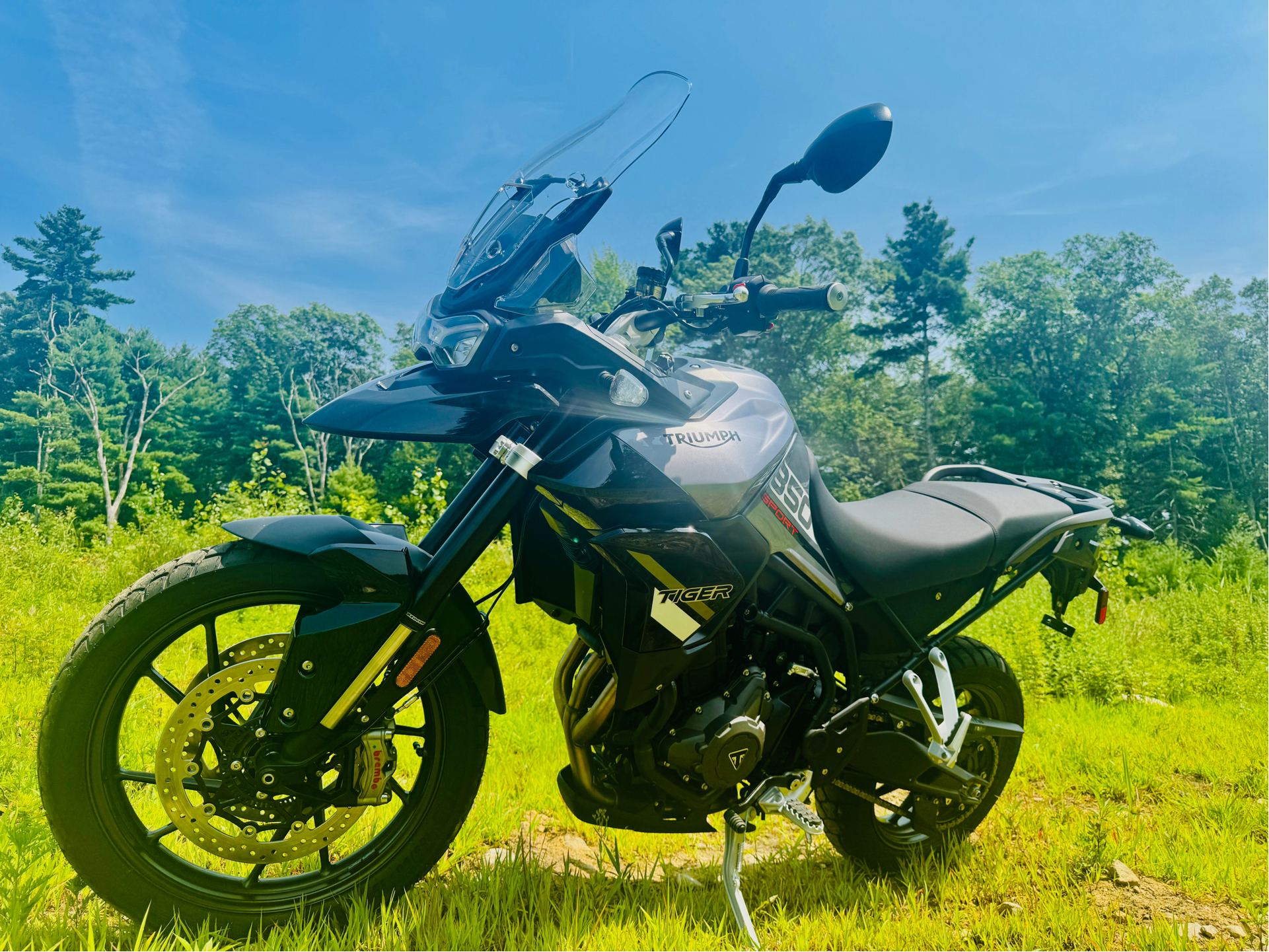 2024 Triumph Tiger 850 Sport in Foxboro, Massachusetts - Photo 3