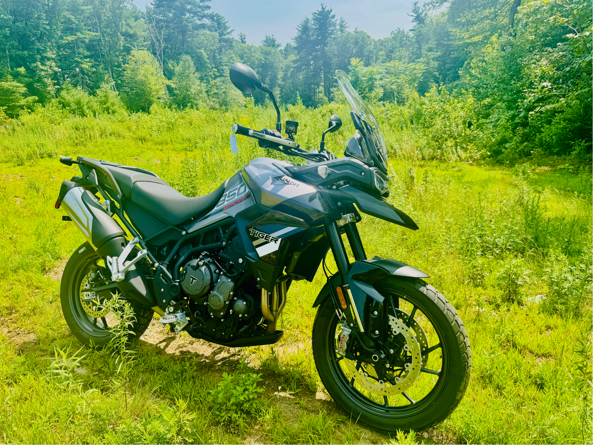 2024 Triumph Tiger 850 Sport in Foxboro, Massachusetts - Photo 14