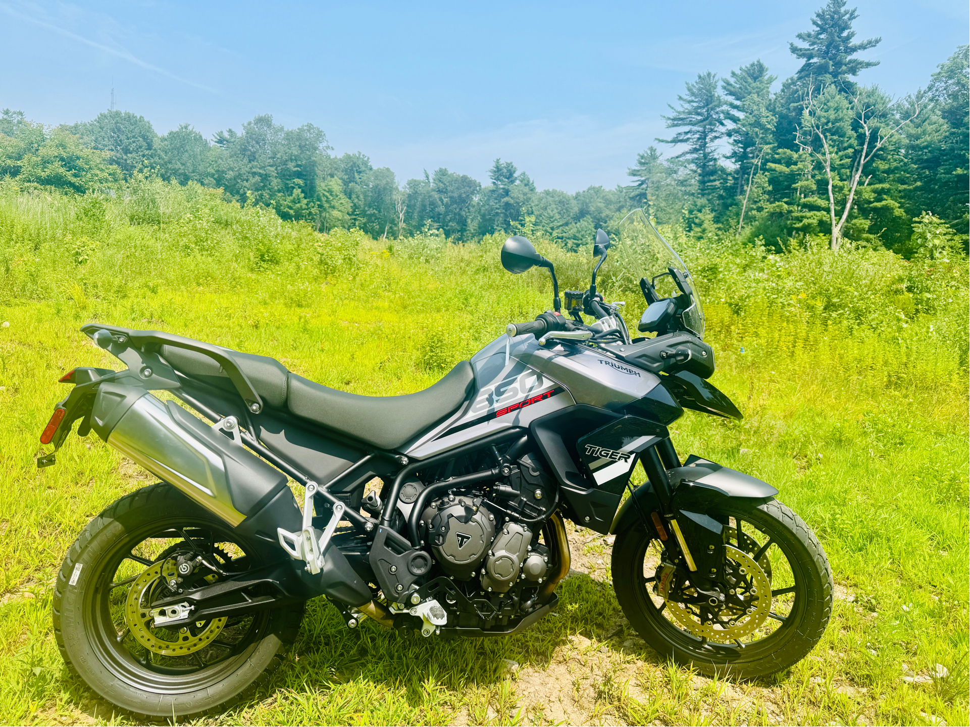 2024 Triumph Tiger 850 Sport in Foxboro, Massachusetts - Photo 12