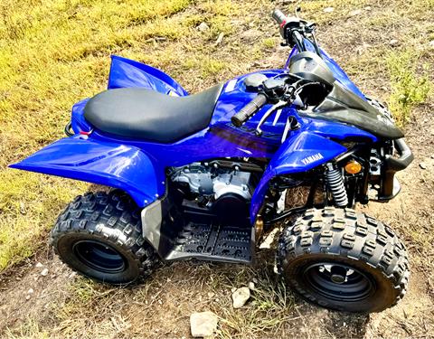 2025 Yamaha YFZ50 in Foxboro, Massachusetts - Photo 1
