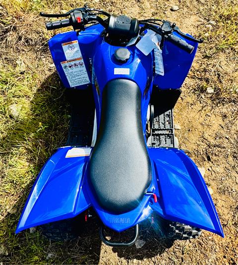 2025 Yamaha YFZ50 in Foxboro, Massachusetts - Photo 5