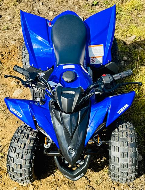 2025 Yamaha YFZ50 in Foxboro, Massachusetts - Photo 9