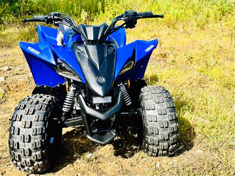 2025 Yamaha YFZ50 in Foxboro, Massachusetts - Photo 3
