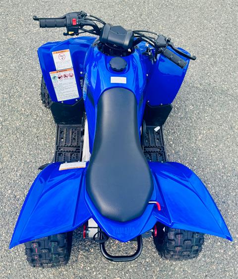 2025 Yamaha YFZ50 in Foxboro, Massachusetts - Photo 4