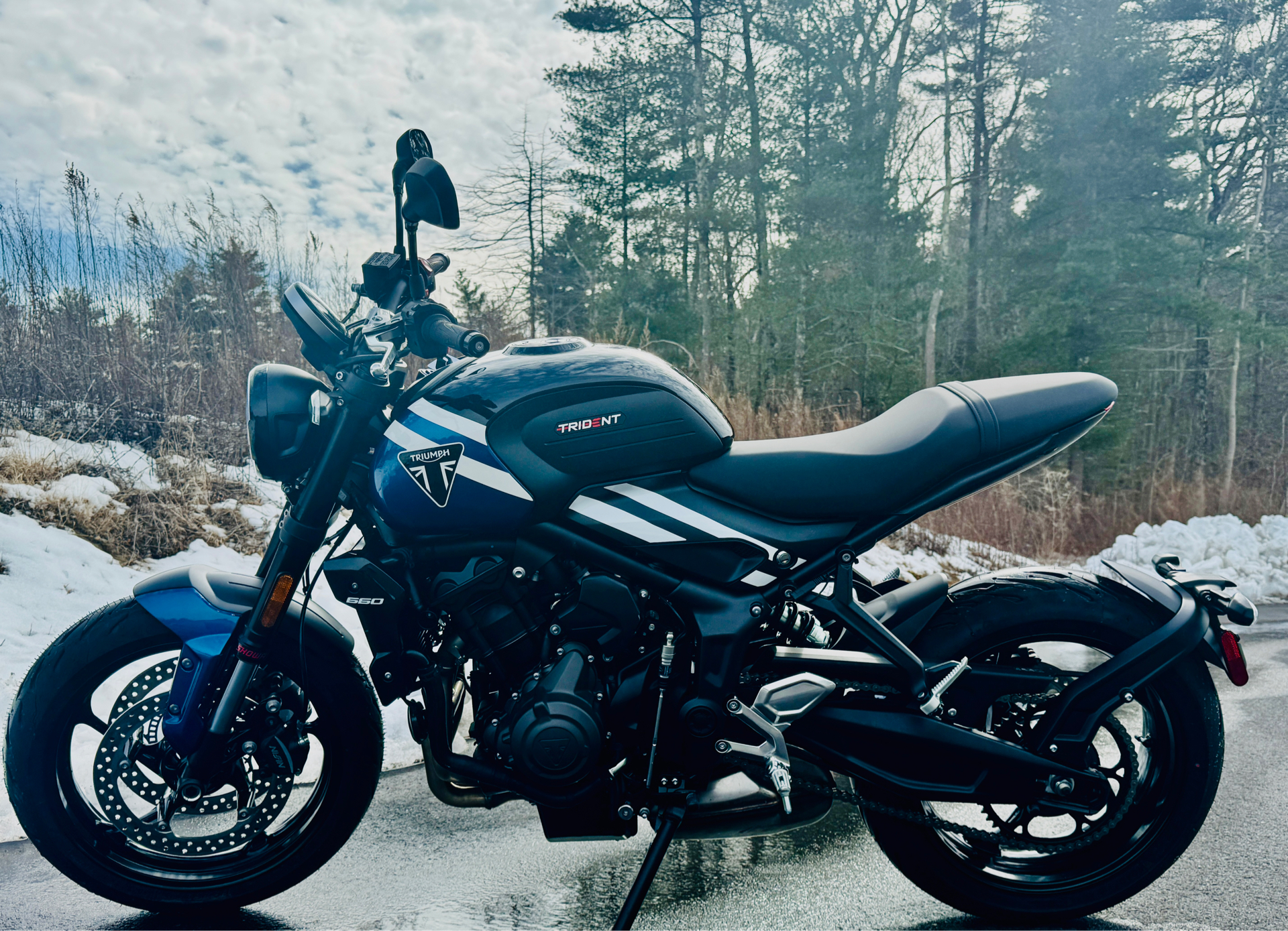 2025 Triumph Trident 660 in Foxboro, Massachusetts - Photo 15