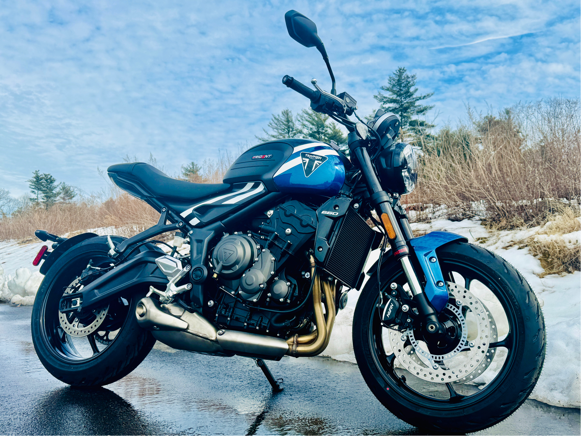 2025 Triumph Trident 660 in Foxboro, Massachusetts - Photo 20