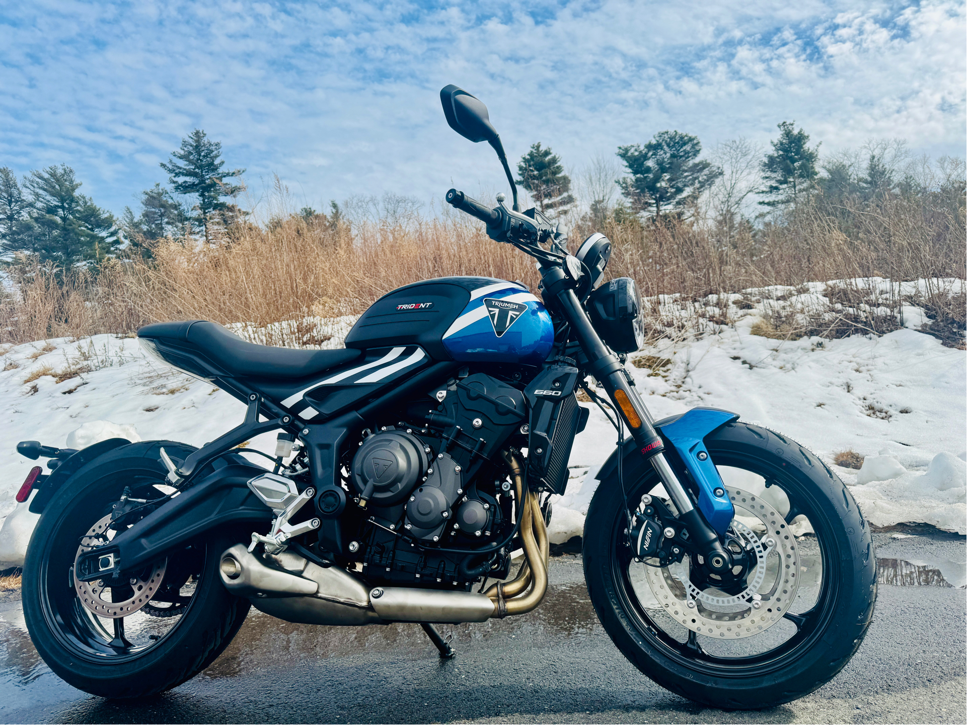 2025 Triumph Trident 660 in Foxboro, Massachusetts - Photo 1