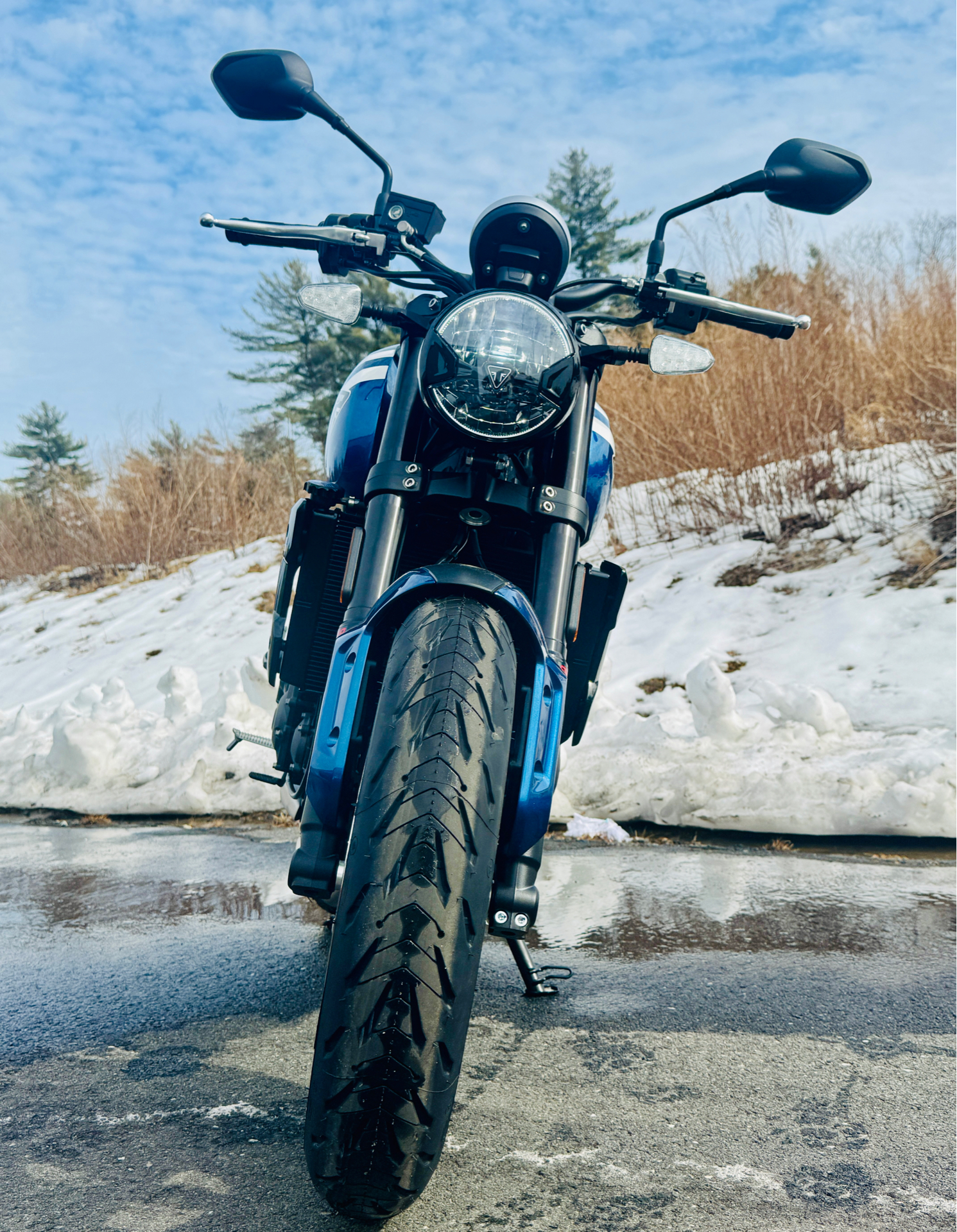 2025 Triumph Trident 660 in Foxboro, Massachusetts - Photo 13