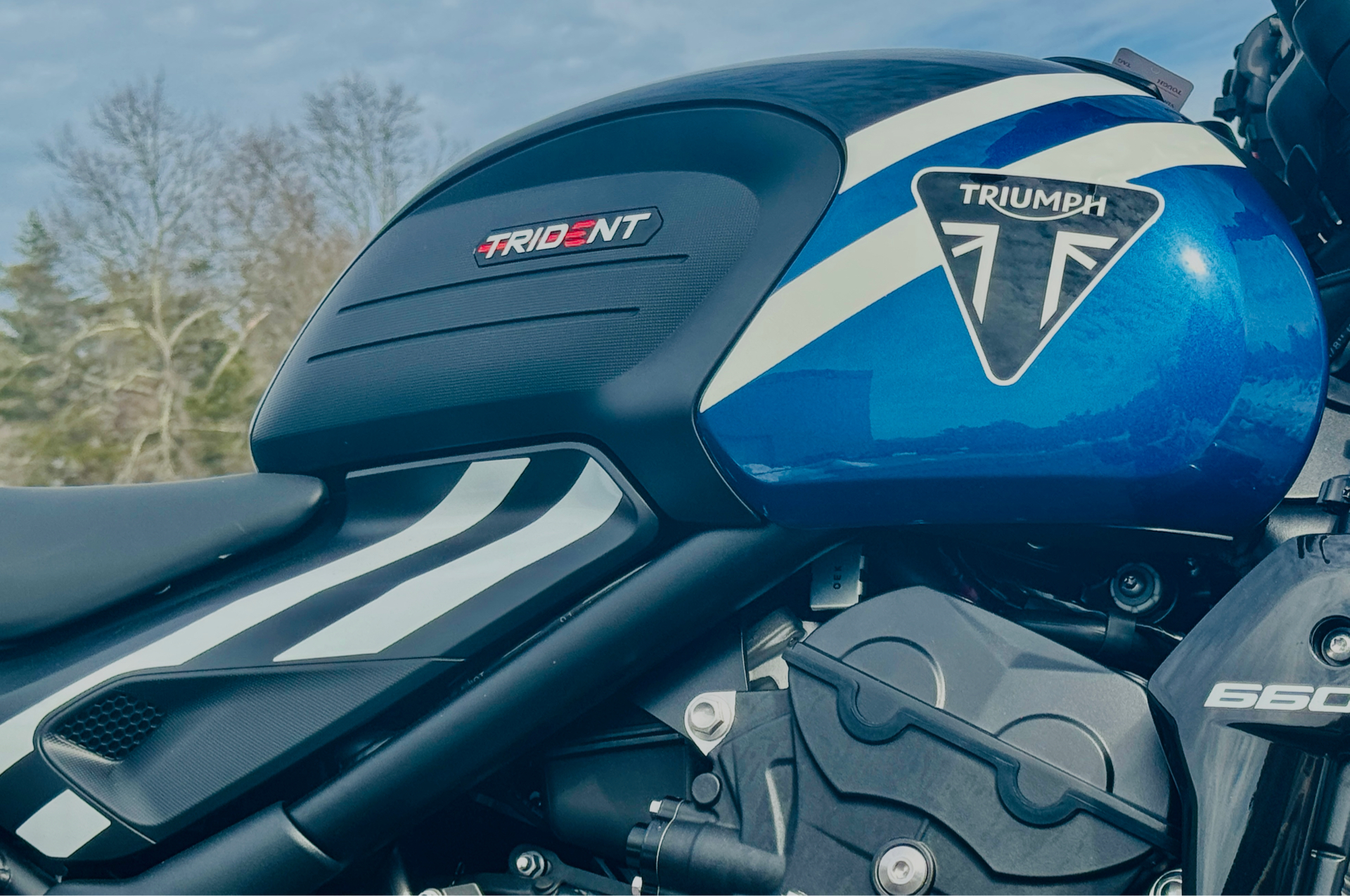 2025 Triumph Trident 660 in Foxboro, Massachusetts - Photo 23