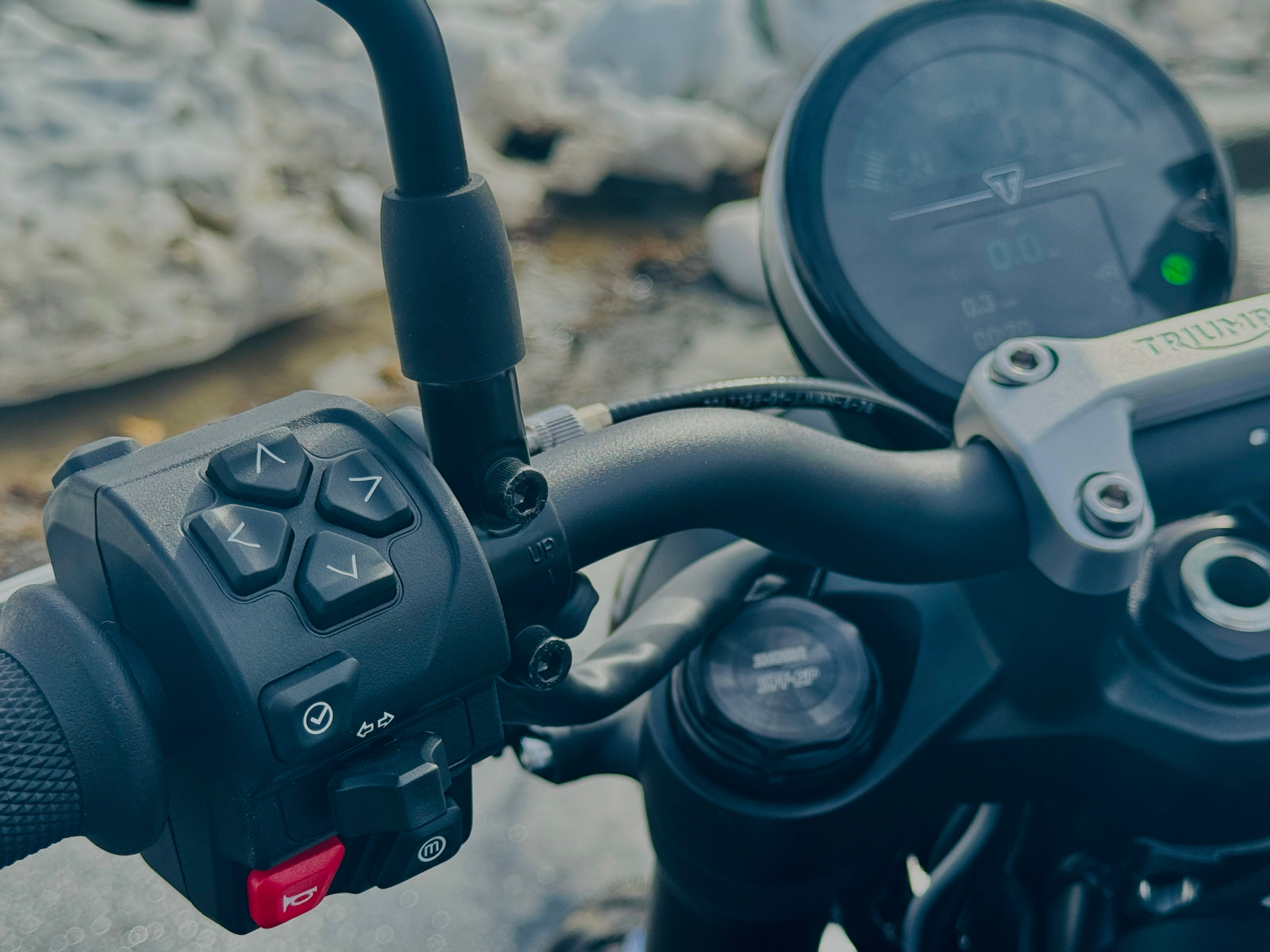 2025 Triumph Trident 660 in Foxboro, Massachusetts - Photo 7