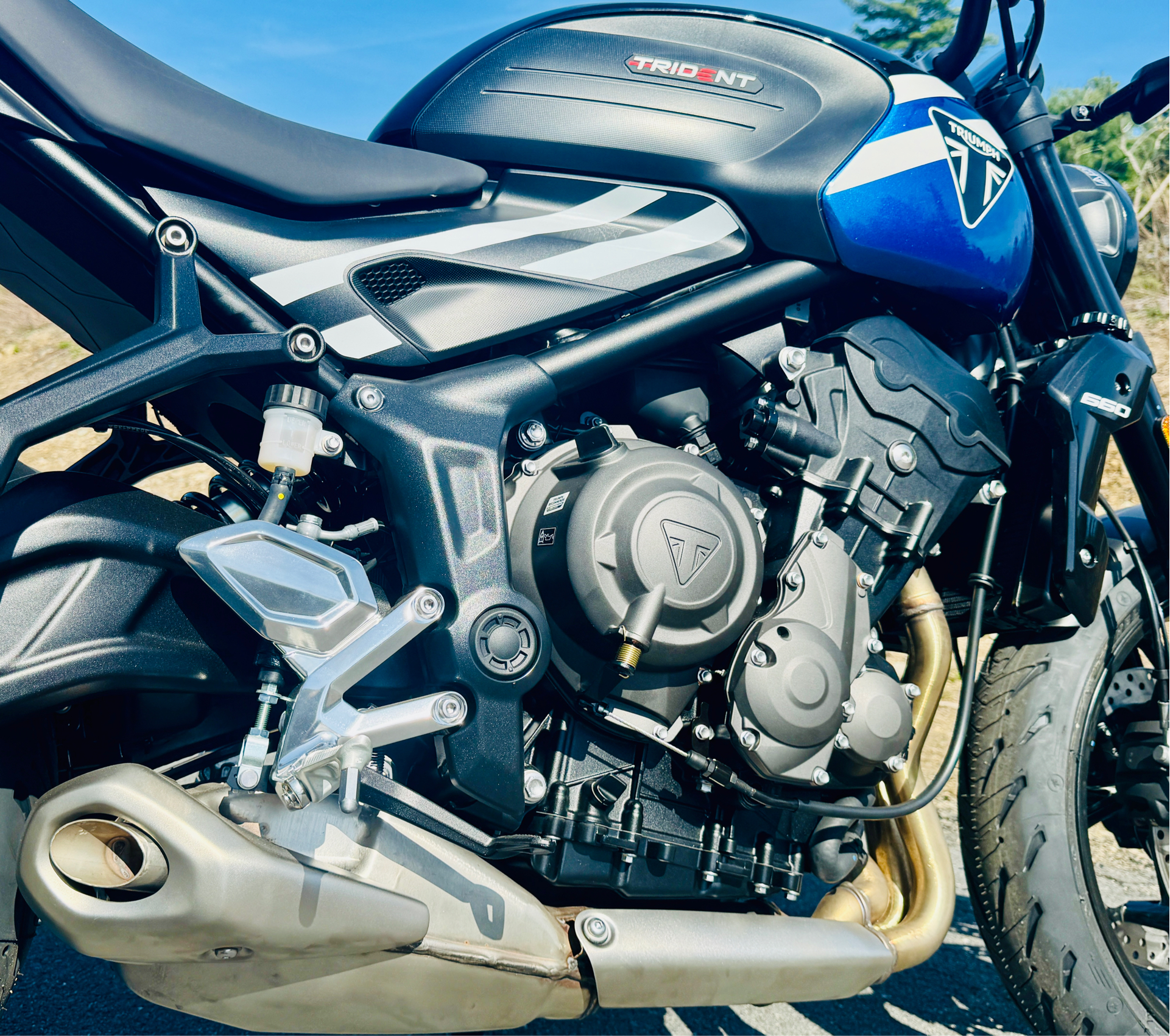 2025 Triumph Trident 660 in Foxboro, Massachusetts - Photo 11