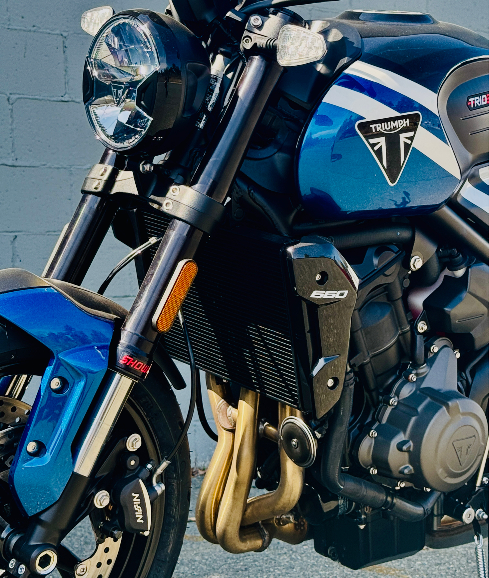 2025 Triumph Trident 660 in Foxboro, Massachusetts - Photo 3
