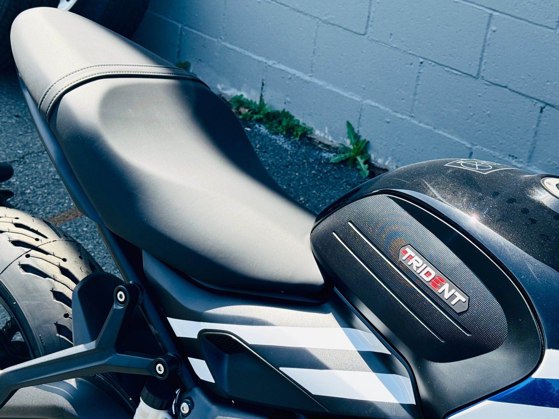 2025 Triumph Trident 660 in Foxboro, Massachusetts - Photo 15